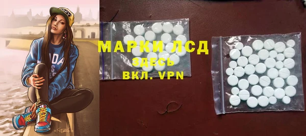стаф Алзамай