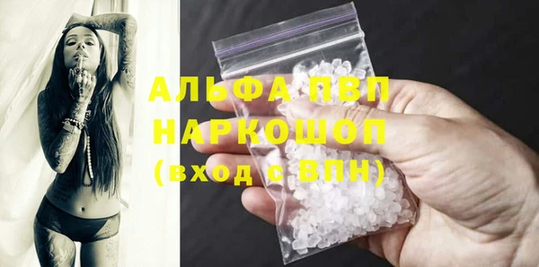 сатива Абинск