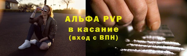 стаф Алзамай