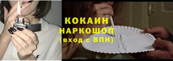 стаф Алзамай