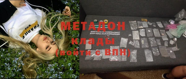 стаф Алзамай