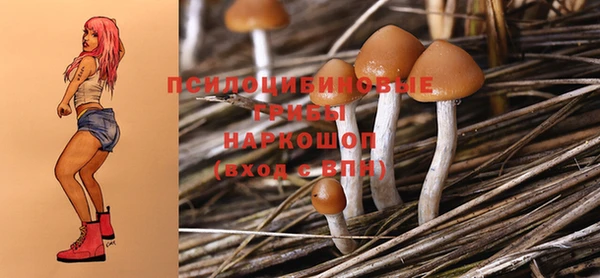 гидропоника Алексеевка