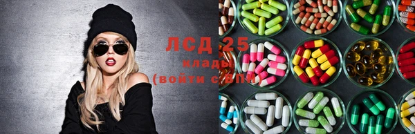 ГАЛЛЮЦИНОГЕННЫЕ ГРИБЫ Алексин