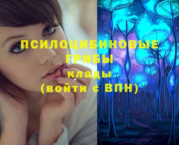ГАЛЛЮЦИНОГЕННЫЕ ГРИБЫ Алексин