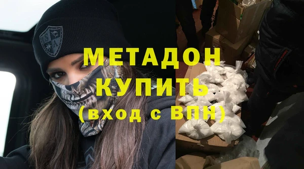 стаф Алзамай
