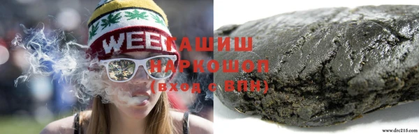 стаф Алзамай